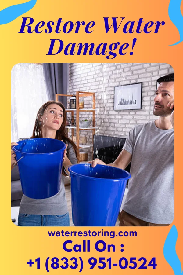 water restoration Reliable Flood Recovery Co Wilmot